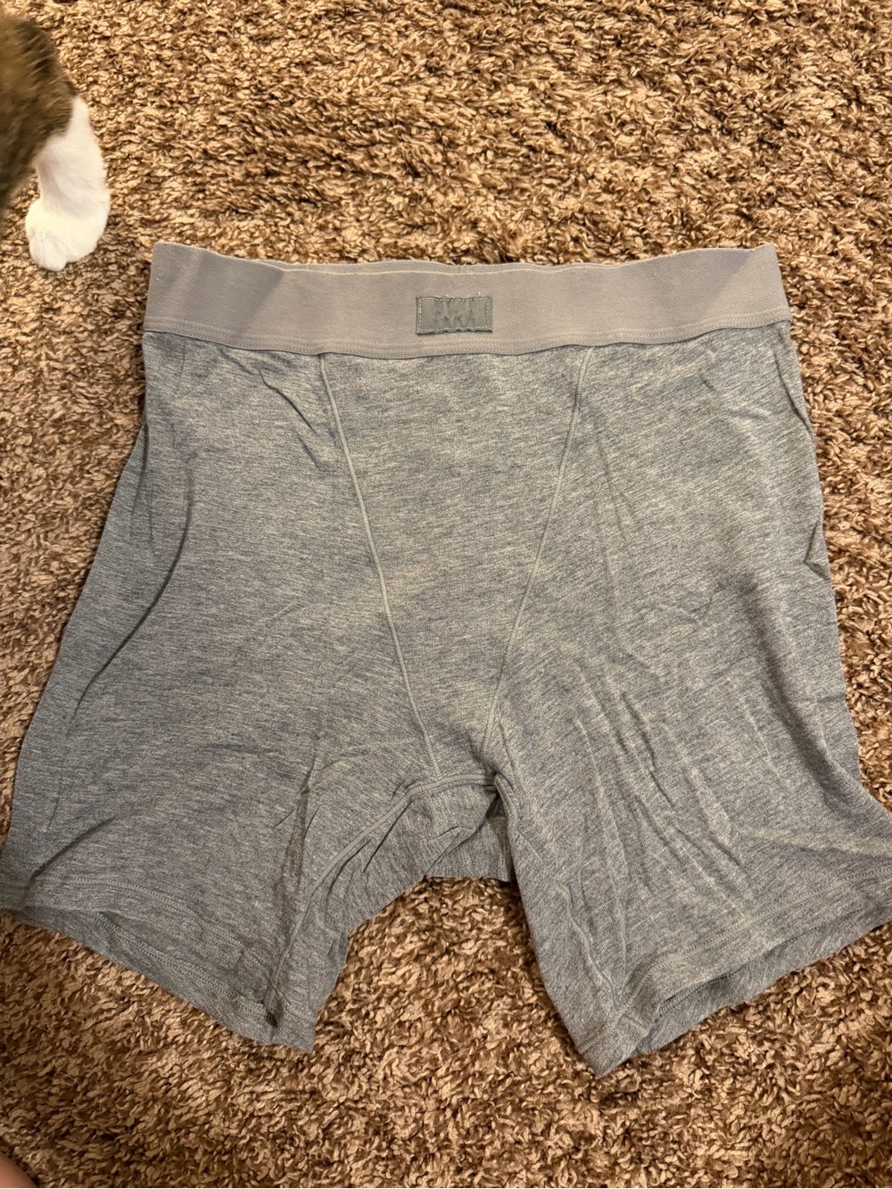 SKIMS Heather Gray Modal Boxer Briefs